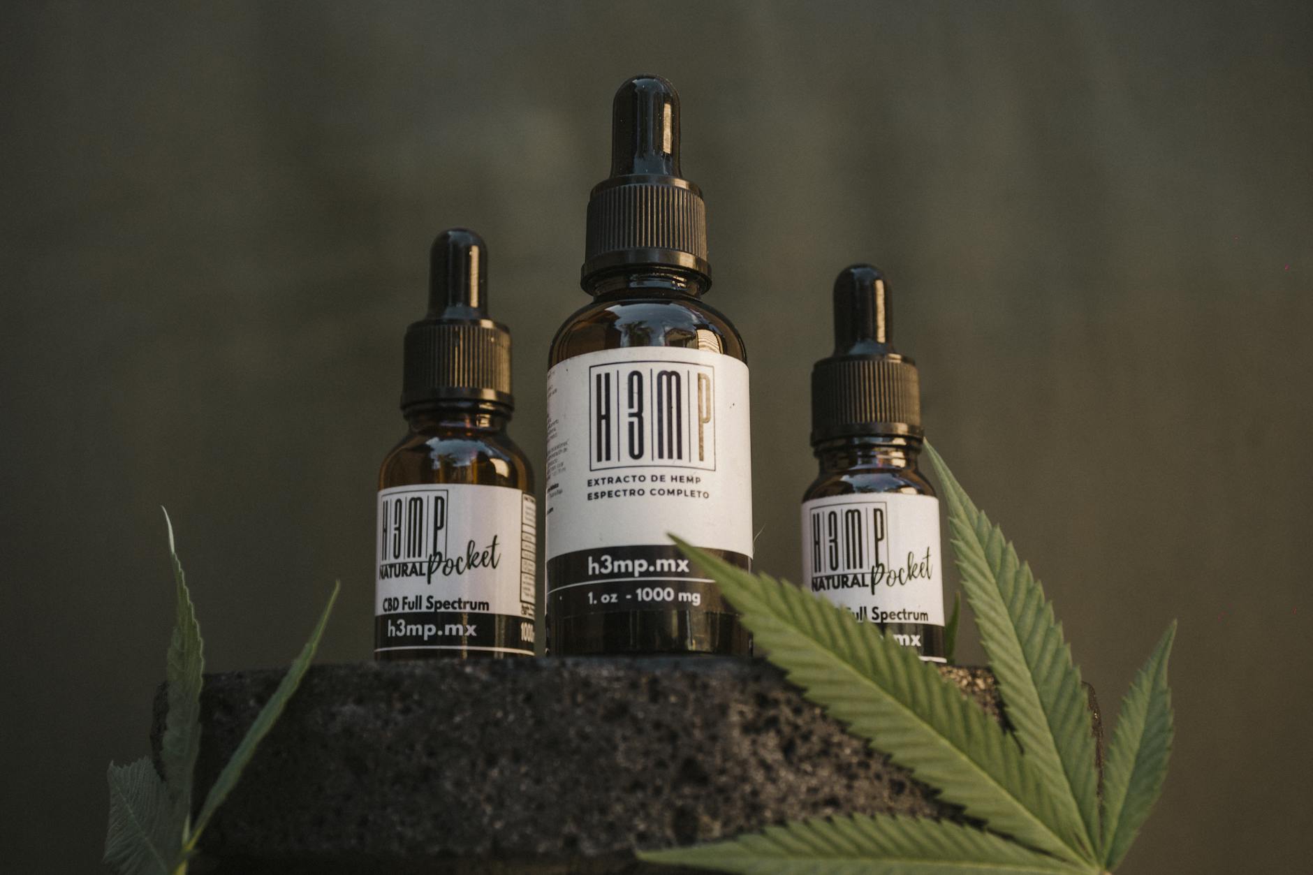 Butelki olejku CBD z liśćmi konopi w naturalnej aranżacji
