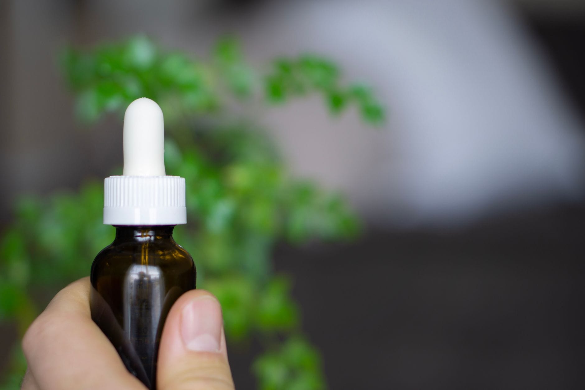 Dłoń trzyma pipetę z olejkiem CBD na tle rozmytych roślin