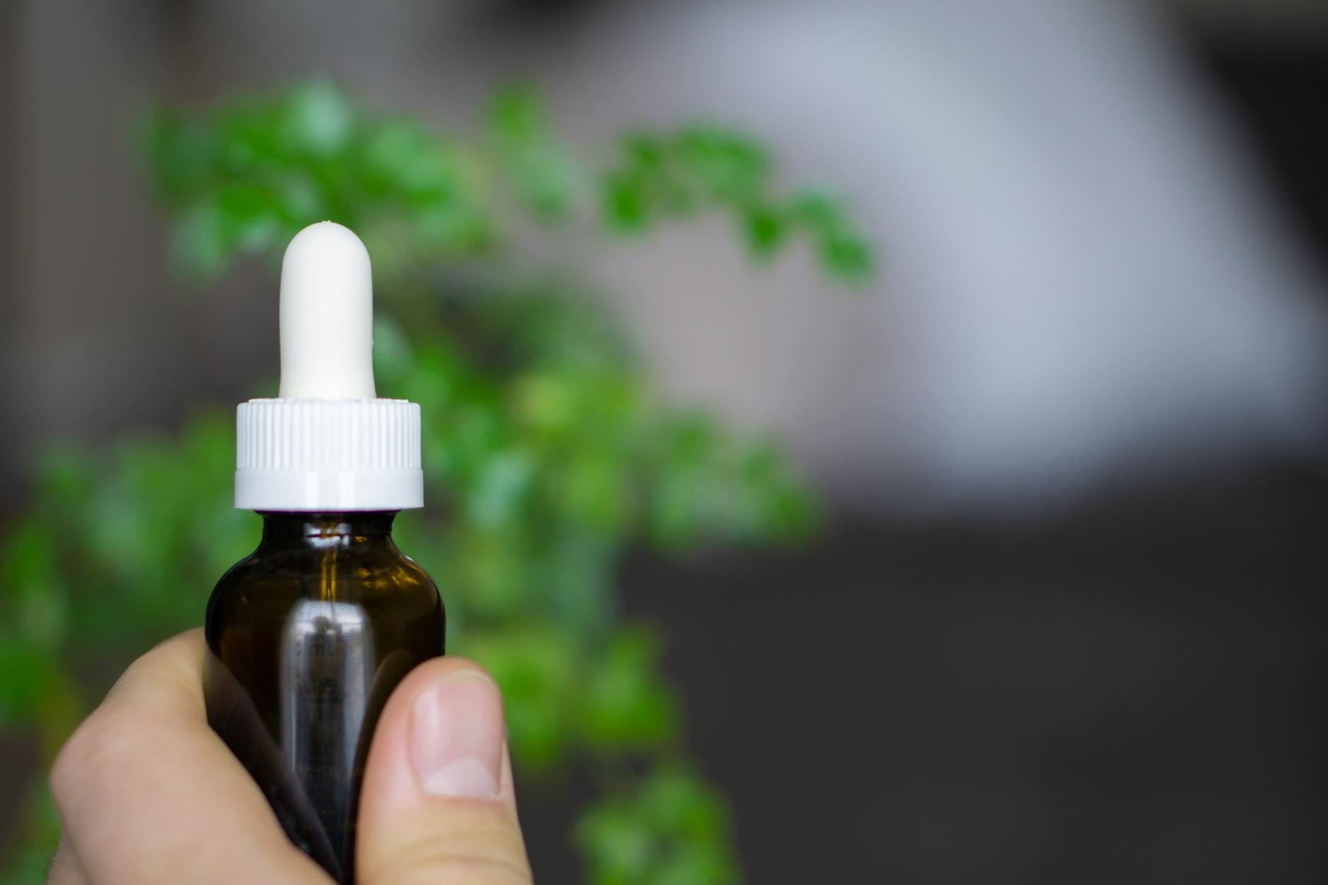 Dłoń trzymająca butelkę olejku CBD na tle rozmytych roślin Dłoń trzymająca butelkę olejku CBD na tle rozmytych roślin